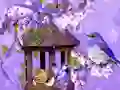 Oyunu Wonderful Humming Bird Land Escape çevrimiçi