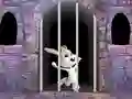 Oyunu Victory Rabbit Escape çevrimiçi
