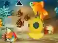 Oyunu Save The Mother Fish çevrimiçi