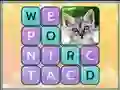 Oyunu Word Search Pictures çevrimiçi
