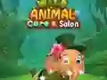 Oyunu Wild Animal Care & Salon çevrimiçi