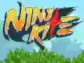 Oyunu Ninja Kite çevrimiçi