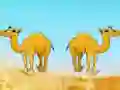 Oyunu Desert Gold Rush The Great Treasure Escape çevrimiçi