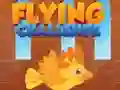 Oyunu Flying Challenge çevrimiçi