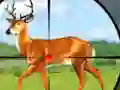 Oyunu Wild Hunt Hunting Games 3D çevrimiçi