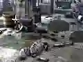Oyunu Friends Rescue From Skeleton çevrimiçi