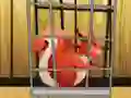 Oyunu Rescue The Red Squirrel From Cage çevrimiçi