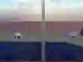 Oyunu Escape from the House with Turtles çevrimiçi