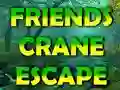 Oyunu Friends Crane Escape çevrimiçi