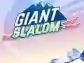 Oyunu Giant Slalom çevrimiçi