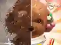 Oyunu Pet Makeup Master çevrimiçi