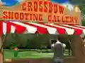 Oyunu Crossbow Shooting Gallery çevrimiçi