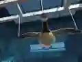 Oyunu Goose Museum çevrimiçi