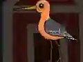 Oyunu Cute Godwit Escape çevrimiçi