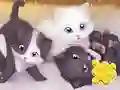 Oyunu Jigsaw Puzzle: Playing Cats çevrimiçi