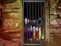 Oyunu Hidden Cat Escape çevrimiçi