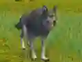 Oyunu The Wolf: Wild Animal Simulator çevrimiçi