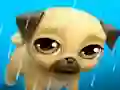 Oyunu My Virtual Pet Louie the Pug çevrimiçi