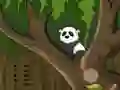 Oyunu Panda Jungle Escape çevrimiçi