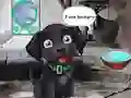 Oyunu Feed Hungry Black Dog çevrimiçi