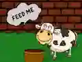 Oyunu Find The Cow Feed çevrimiçi