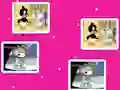Oyunu Baby Looney Tunes Match Up çevrimiçi