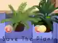 Oyunu Save the Plants çevrimiçi
