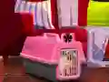Oyunu Escape The Small Pug çevrimiçi