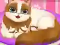 Oyunu Cute Kitty Pregnant çevrimiçi
