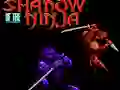 Oyunu Shadow of the Ninja çevrimiçi