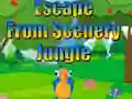 Oyunu Escape from Scenery Jungle çevrimiçi