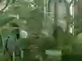 Oyunu Mystery Garden Escape çevrimiçi