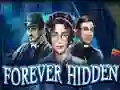 Oyunu Forever Hidden çevrimiçi