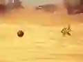 Oyunu Monkey Shooting çevrimiçi
