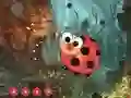 Oyunu Cute Ladybug Land Escape çevrimiçi