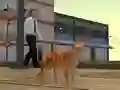 Oyunu Cat City Simulator çevrimiçi