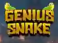 Oyunu Genius Snake çevrimiçi