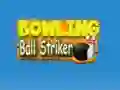 Oyunu Bowling Ball Striker çevrimiçi
