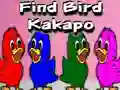 Oyunu Find Bird Kakapo çevrimiçi
