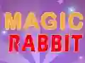 Oyunu Magic Rabbit çevrimiçi