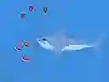 Oyunu Oceans Shees çevrimiçi