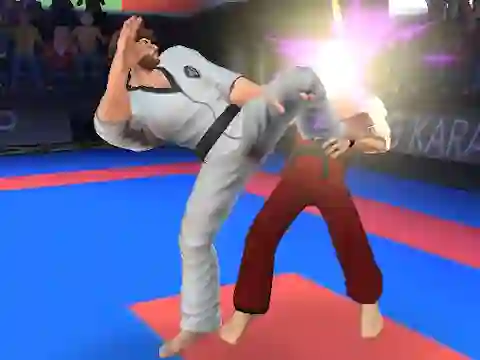 Oyunu Karate Fighter çevrimiçi