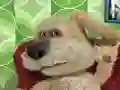 Oyunu Talking Ben the Dog çevrimiçi