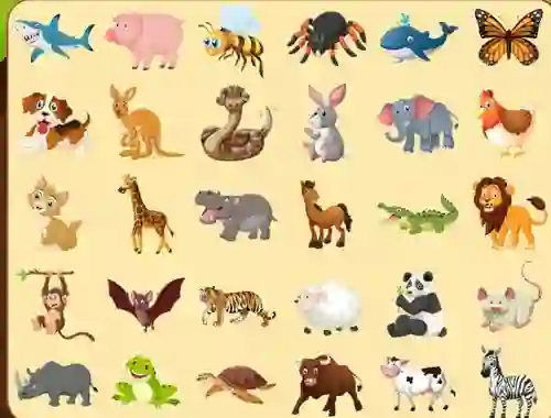 Oyunu Discover Animals çevrimiçi