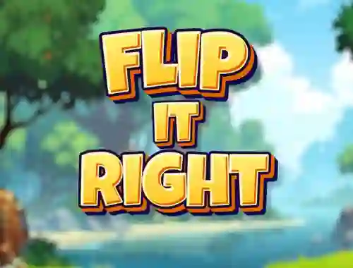 Oyunu Flip It Right çevrimiçi