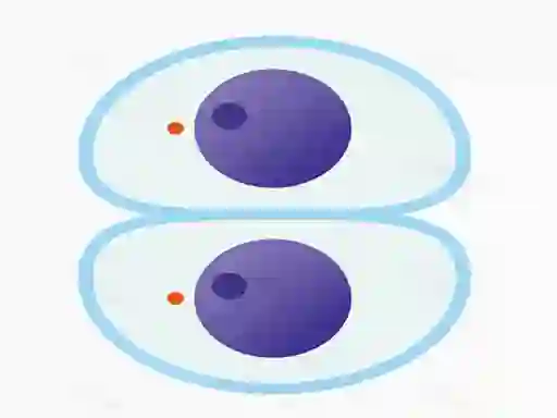 Oyunu Cutting master çevrimiçi