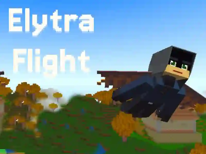 Oyunu Elytra Flight çevrimiçi