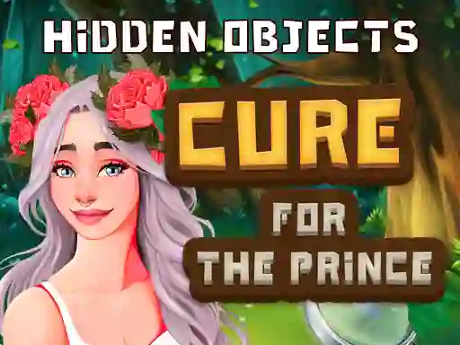 Oyunu Hidden Objects Cure For The Prince çevrimiçi