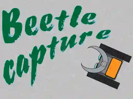 Oyunu Beetle Capture çevrimiçi
