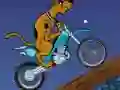 Oyunu Scooby Doo Trail çevrimiçi